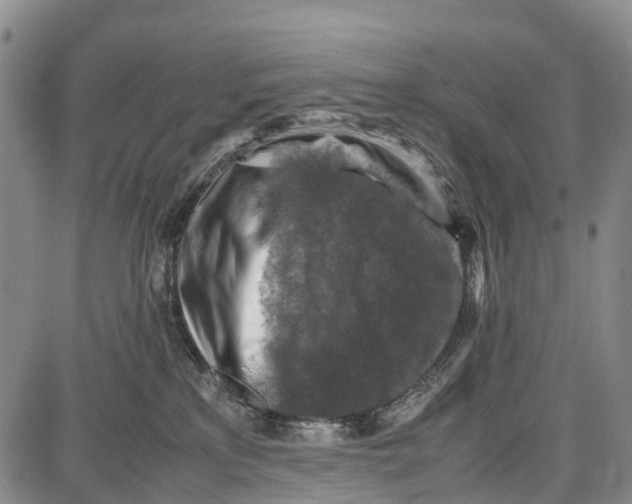 X0000087050233200705091143