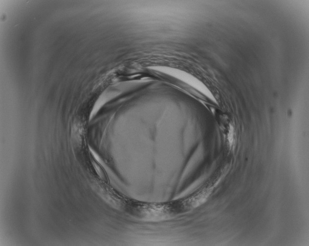 X0000087050235200705091143