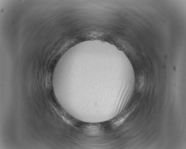 X0000087050236200705091143