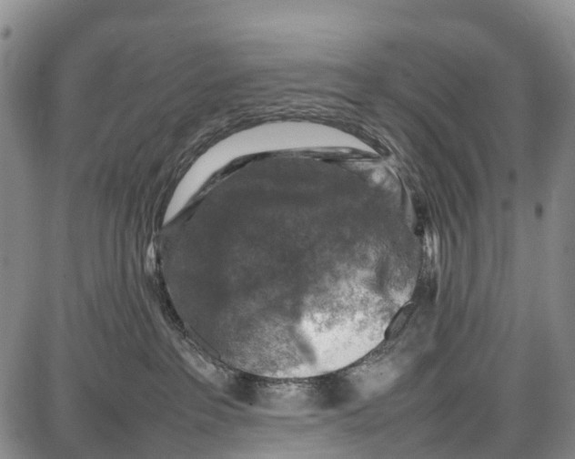 X0000087050237200705091143