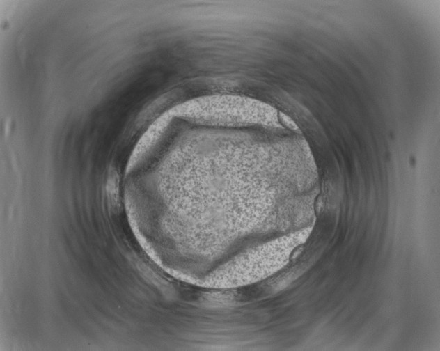 X0000087050238200705091143