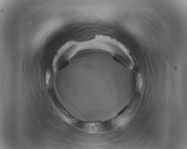 X0000087050239200705091143