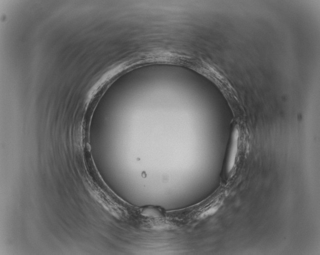 X0000087050244200705091142