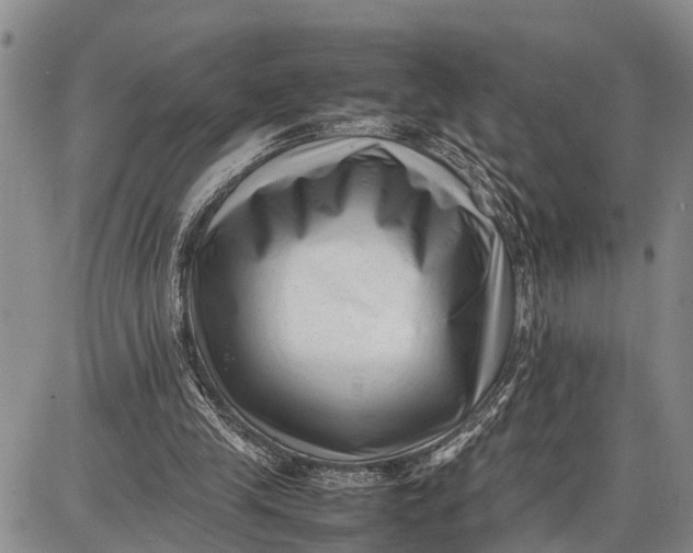 X0000087050245200705091143