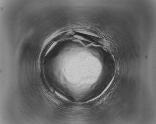 X0000087050246200705091143