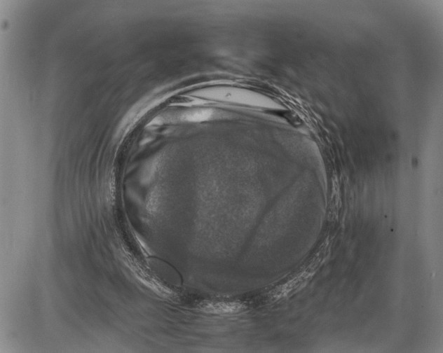 X0000087050247200705091143