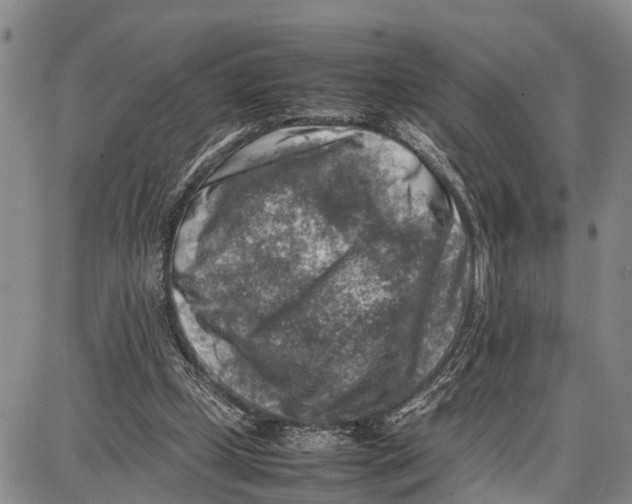 X0000087050249200705091143