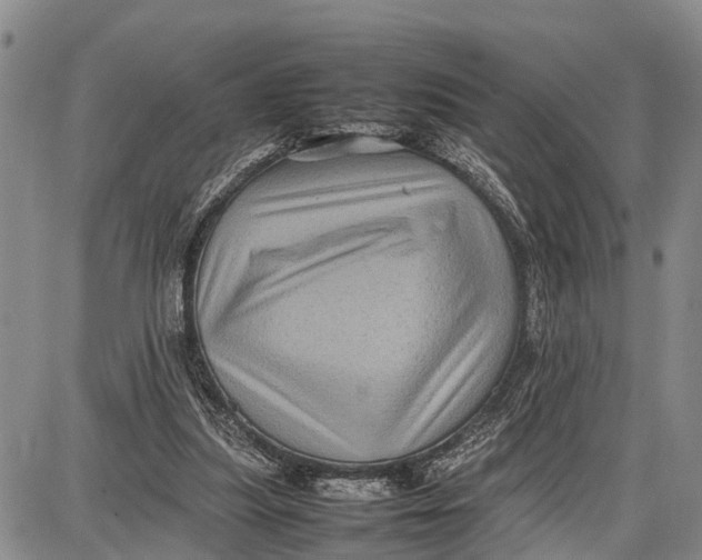 X0000087050251200705091143