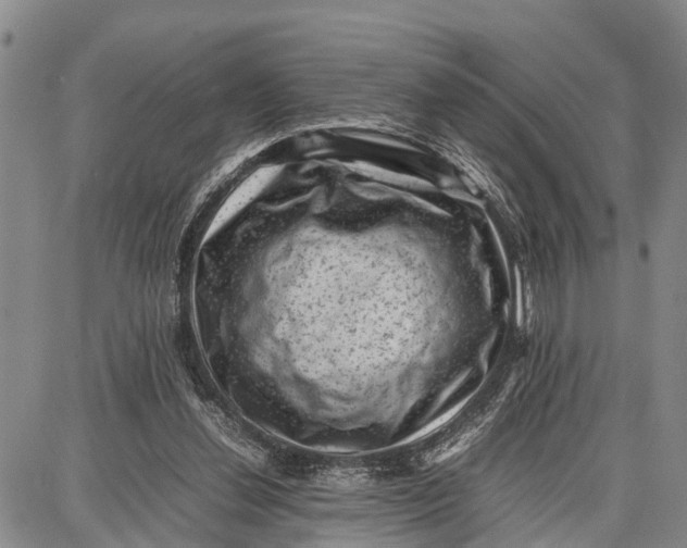 X0000087050252200705091143