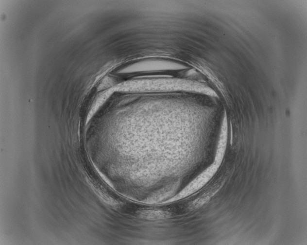 X0000087050253200705091143