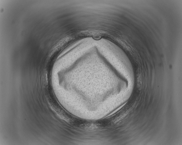 X0000087050254200705091143