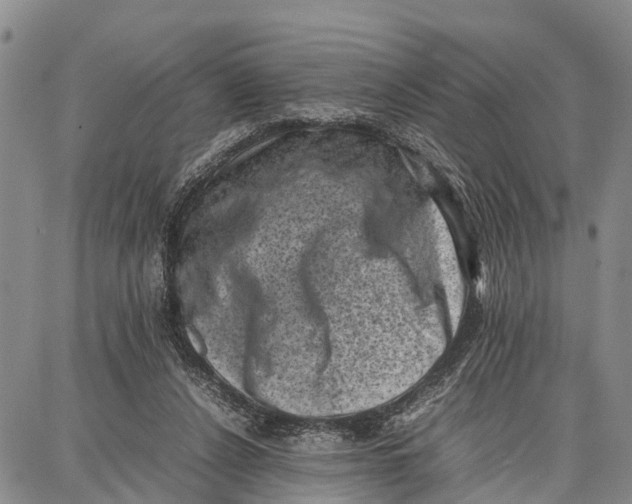 X0000087050256200705091143