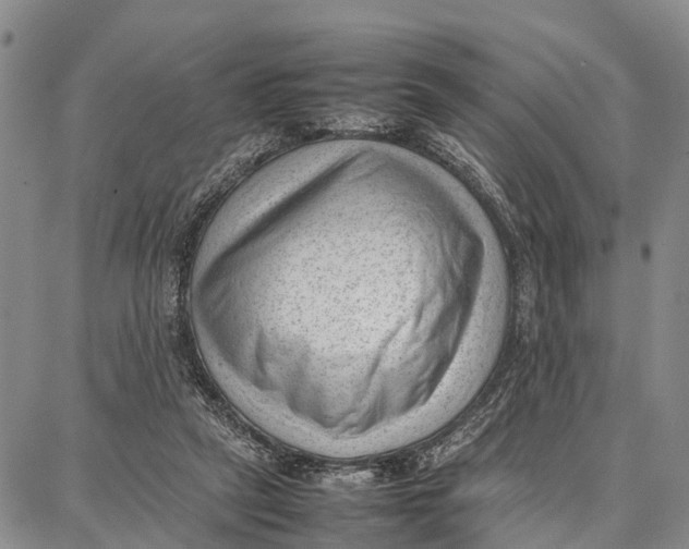 X0000087050257200705091143