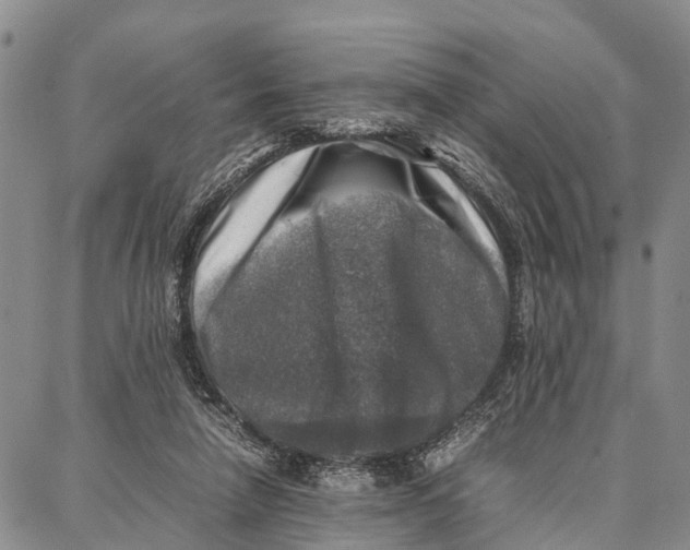 X0000087050258200705091143