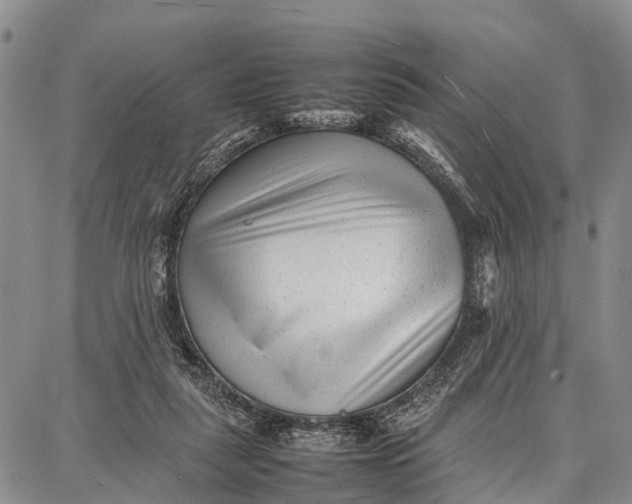 X0000087050259200705091143