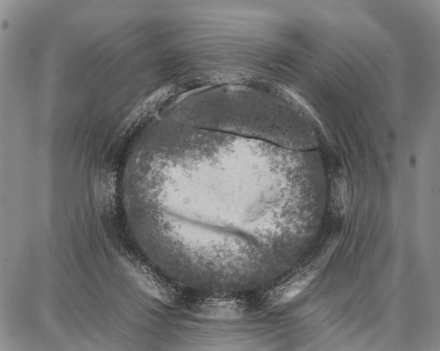 X0000087050260200705091143