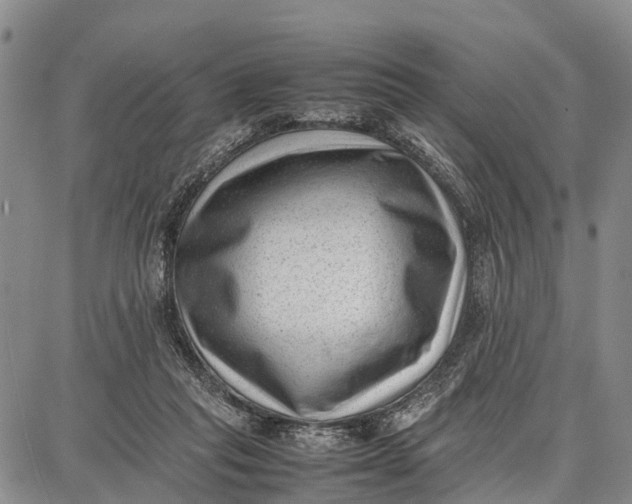 X0000087050261200705091143