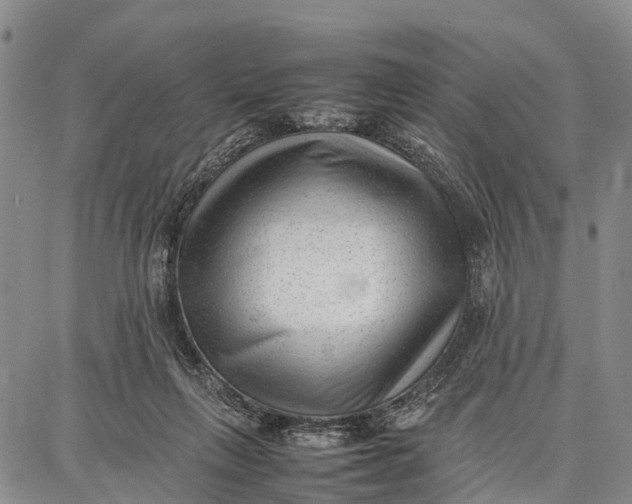 X0000087050263200705091143