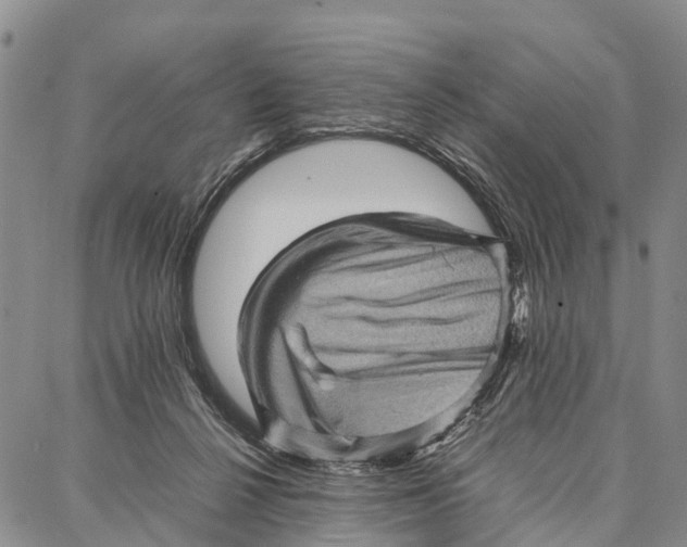 X0000087050264200705091143