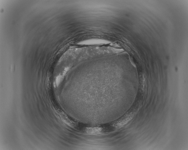 X0000087050266200705091143