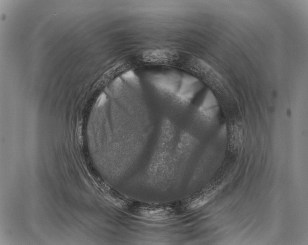 X0000087050267200705091143