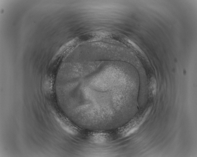 X0000087050268200705091143