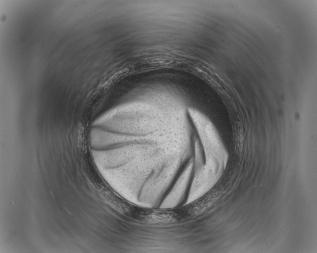 X0000087050270200705091143