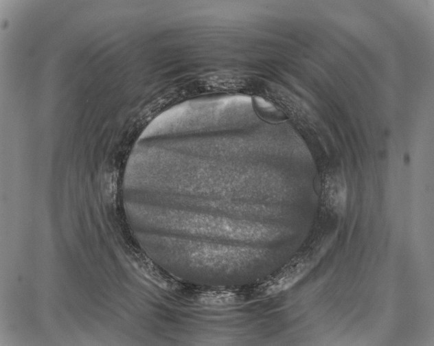 X0000087050271200705091143