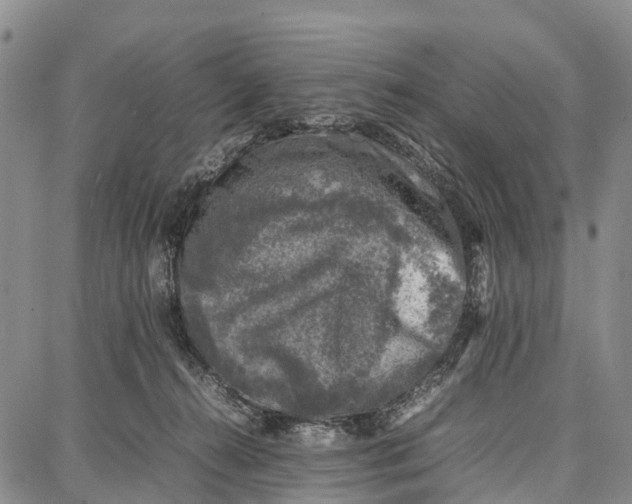 X0000087050272200705091143