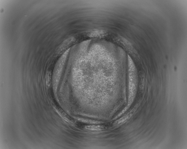 X0000087050273200705091143