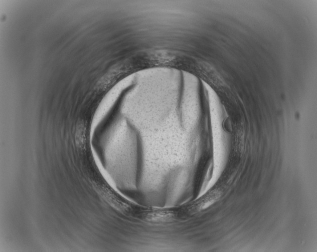 X0000087050274200705091143