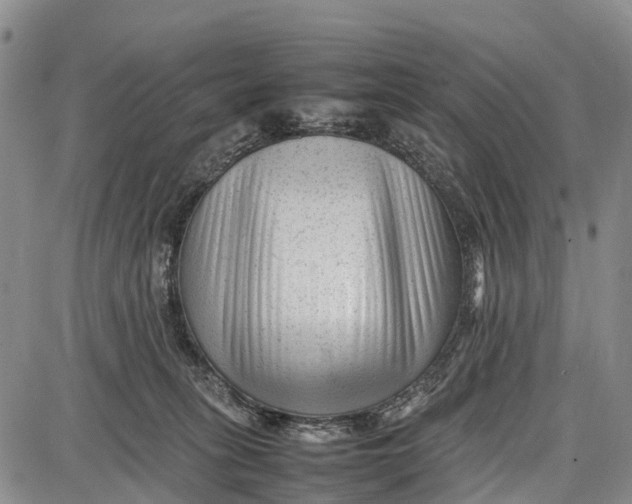 X0000087050275200705091143