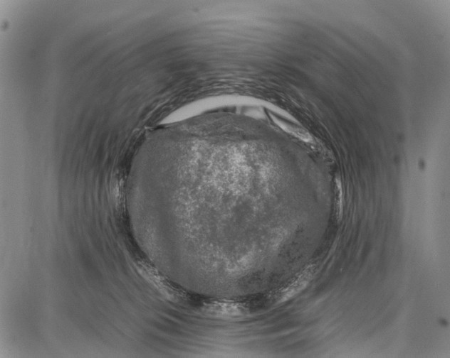 X0000087050276200705091143