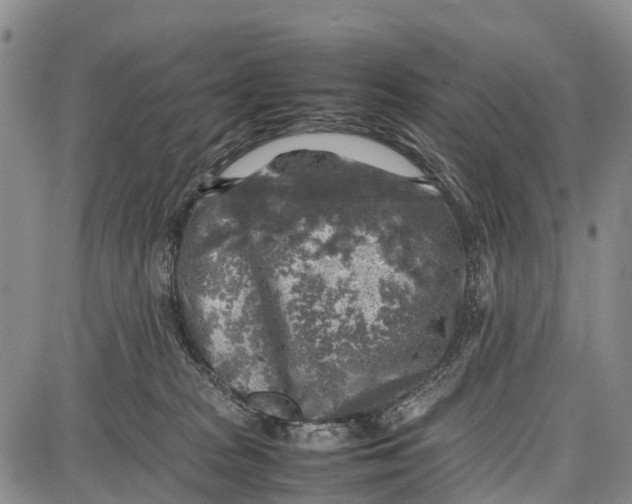 X0000087050277200705091143