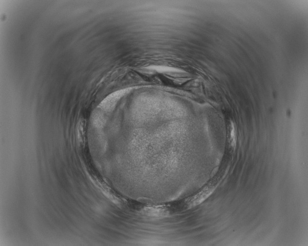 X0000087050280200705091143