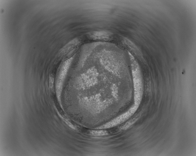 X0000087050281200705091143