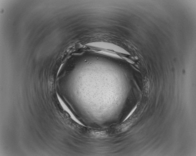 X0000087050283200705091143