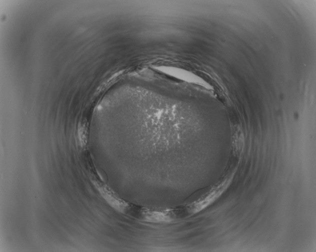 X0000087050285200705091143