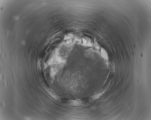 X0000087050286200705091143