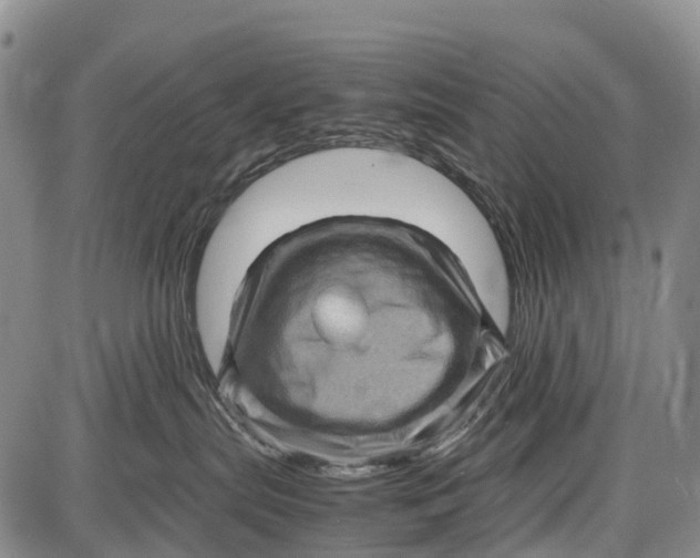 X0000087050287200705091143