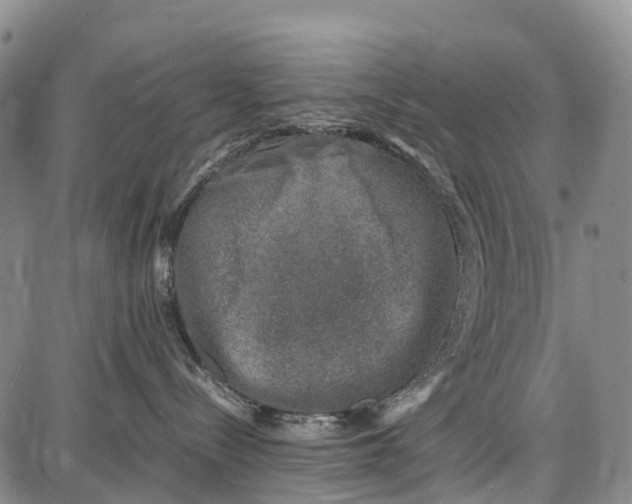 X0000087050288200705091143