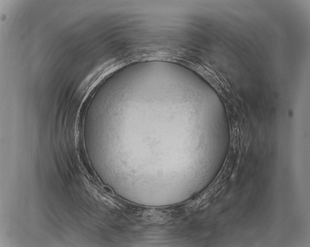 X0000087050290200705091142