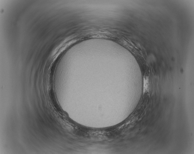 X0000087050291200705091142