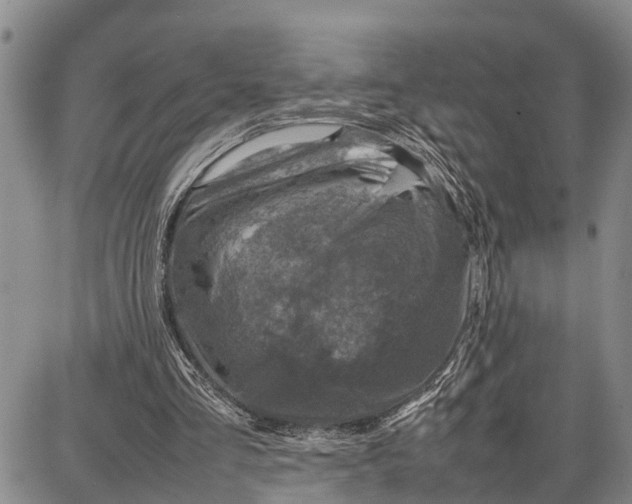 X0000087050293200705091142