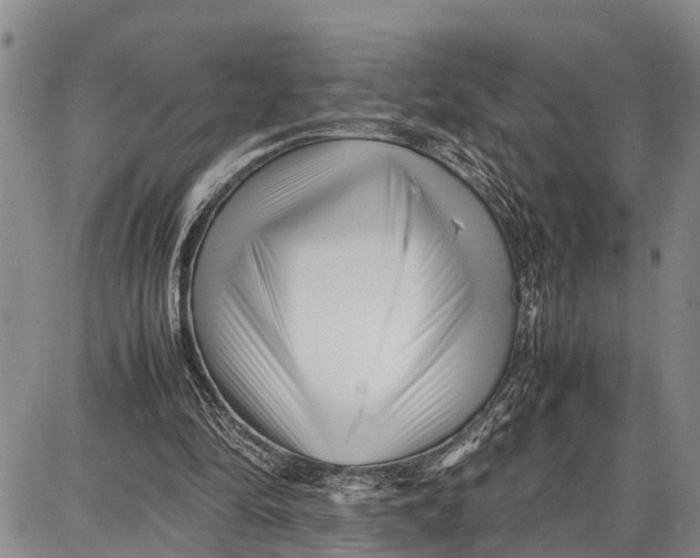 X0000087050294200705091142