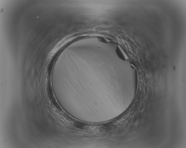 X0000087050295200705091142