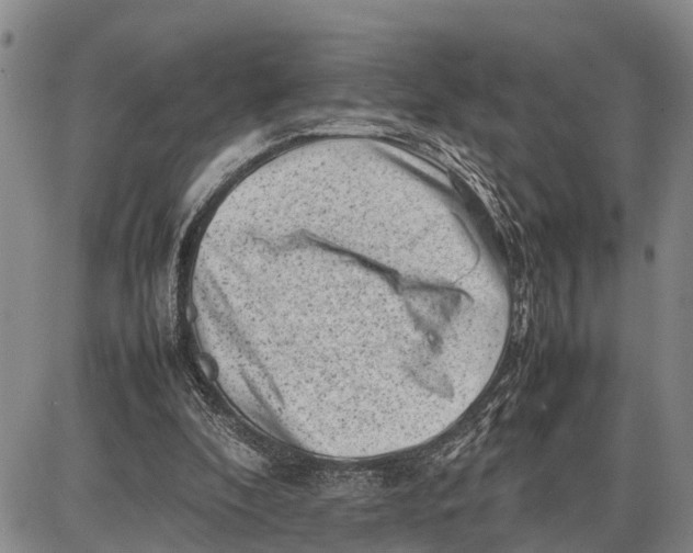 X0000087050296200705091142