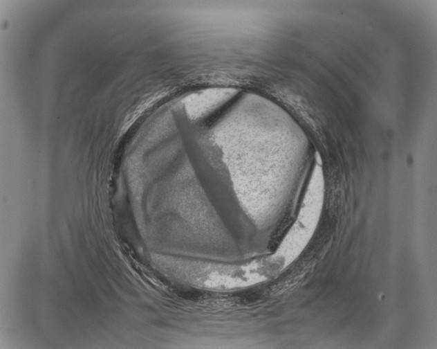 X0000087050299200705091142