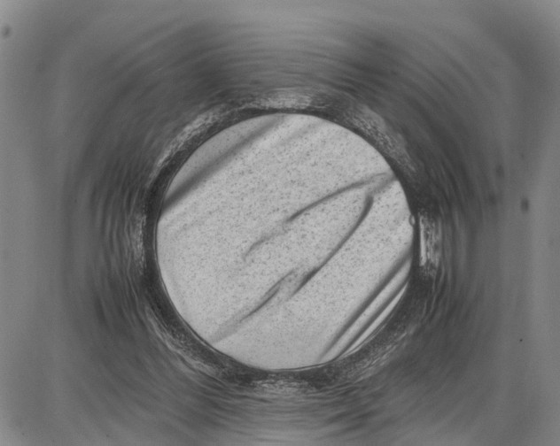 X0000087050300200705091142