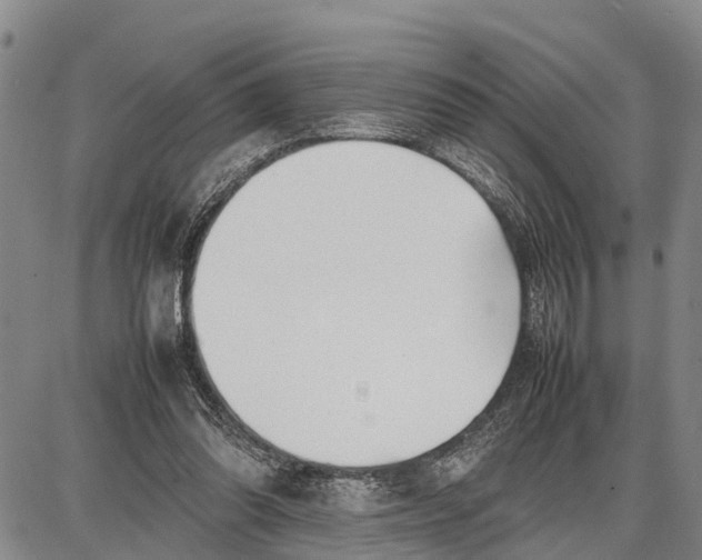 X0000087050302200705091142